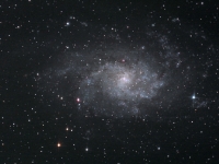 M33