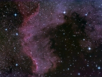 NGC7000